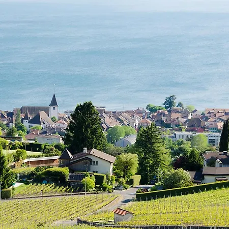 Le Des Vignes * Lutry